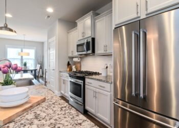 Essential Kitchen Appliances for Modern Living