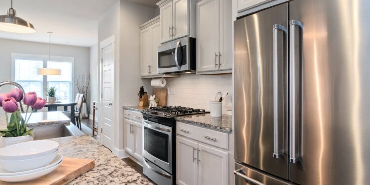 Essential Kitchen Appliances for Modern Living