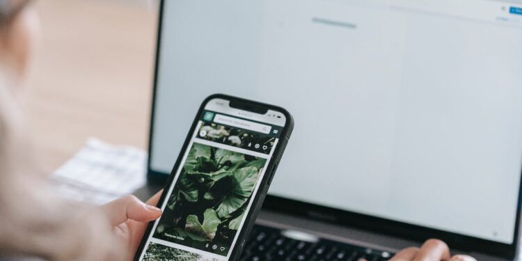 Essential Electronics for Everyday Life