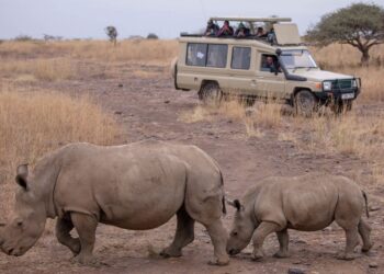 Exciting Tour Packages for Adventure