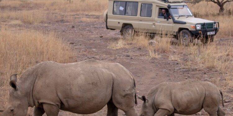 Exciting Tour Packages for Adventure